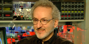 Don Ingber