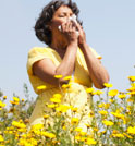 Your Allergy Survival Guide Your Allergy Survival Guide