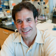 Rudi Tanzi, PhD
