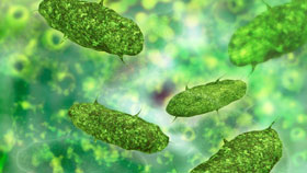 Mesenteric Lymphadenitis Mesenteric Lymphadenitis